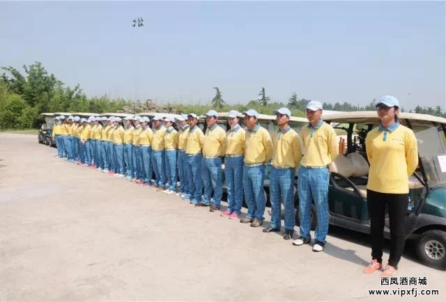 首届“旗帜西凤杯”2015陕西省高尔夫球 （业余）排名赛火热开赛