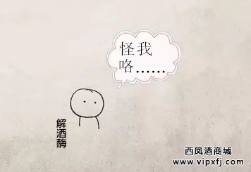 北方人为什么比南方人能喝白酒?
