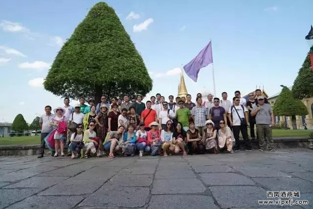 2015年凤香经典陕西合作盟友泰国高端之旅