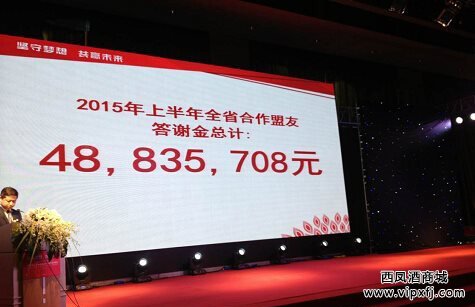 上半年业绩:销售额7.05亿元,完成全年目标59.31%