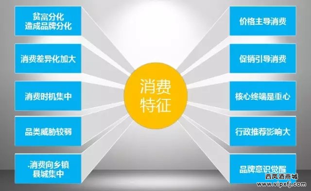 乡镇市场消费特征