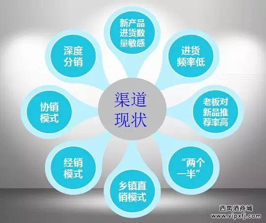 乡镇市场渠道现状