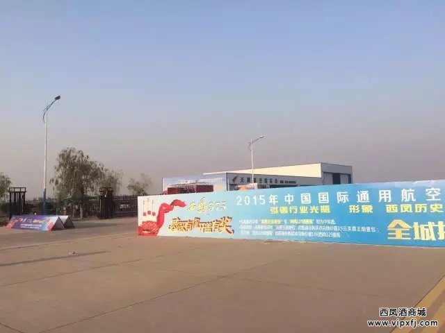 VIP通道的20米广告墙